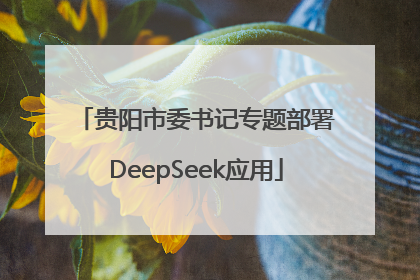 贵阳市委书记专题部署DeepSeek应用