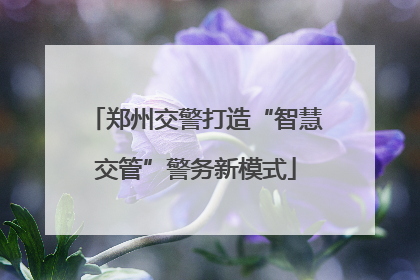 郑州交警打造“智慧交管”警务新模式