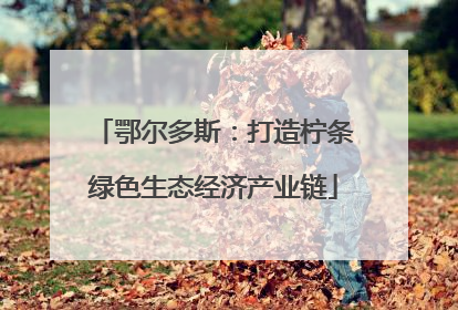 鄂尔多斯：打造柠条绿色生态经济产业链