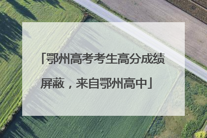 鄂州高考考生高分成绩屏蔽，来自鄂州高中