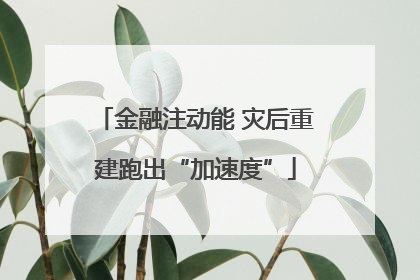 金融注动能 灾后重建跑出“加速度”