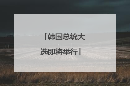 韩国总统大选即将举行