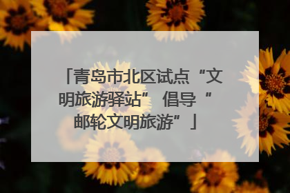 青岛市北区试点“文明旅游驿站” 倡导“邮轮文明旅游”