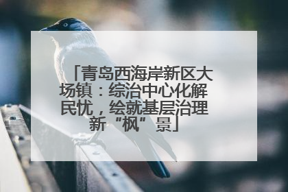 青岛西海岸新区大场镇：综治中心化解民忧，绘就基层治理新“枫”景