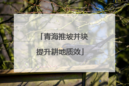 青海推坡并块提升耕地质效