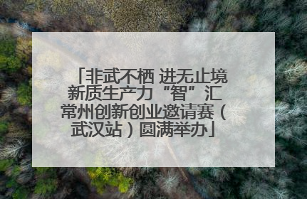 非武不栖 进无止境 新质生产力“智”汇常州创新创业邀请赛（武汉站）圆满举办