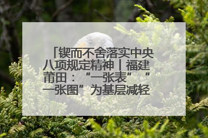 锲而不舍落实中央八项规定精神丨福建莆田：“一张表”“一张图”为基层减轻“数字负担”