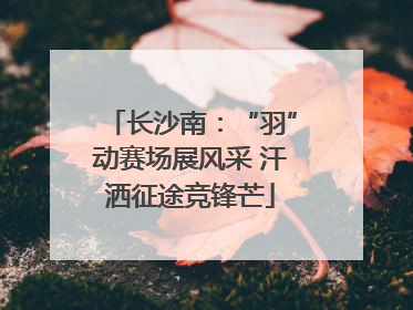 长沙南：“羽”动赛场展风采 汗洒征途竞锋芒