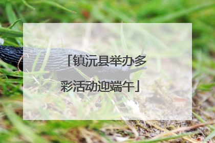 镇沅县举办多彩活动迎端午
