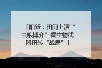 阳新：田间上演“虫粮博弈”看生物武器扭转“战局”
