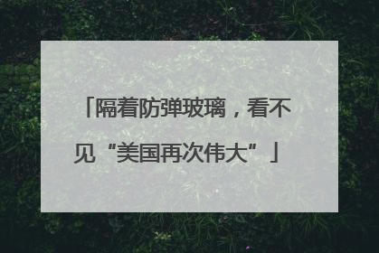隔着防弹玻璃，看不见“美国再次伟大”