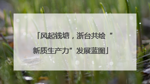风起钱塘，浙台共绘“新质生产力”发展蓝图