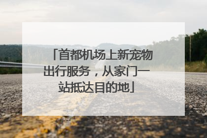 首都机场上新宠物出行服务，从家门一站抵达目的地