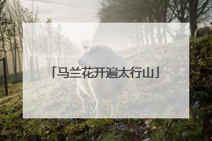 马兰花开遍太行山