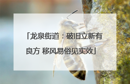 龙泉街道：破旧立新有良方 移风易俗见实效