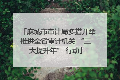 麻城市审计局多措并举推进全省审计机关 “三大提升年” 行动