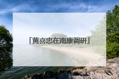 黄喜忠在南康调研