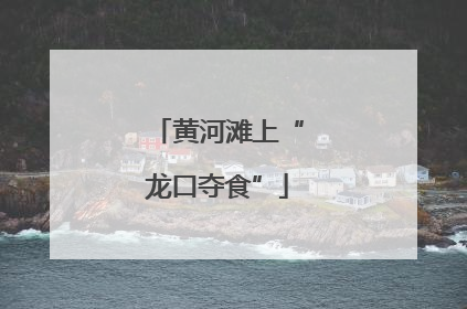 黄河滩上“龙口夺食”