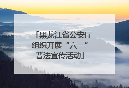 黑龙江省公安厅组织开展“六一”普法宣传活动