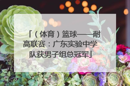 （体育）篮球——耐高联赛：广东实验中学队获男子组总冠军