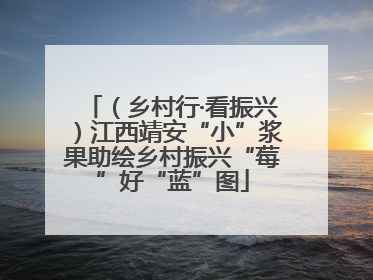 （乡村行·看振兴）江西靖安“小”浆果助绘乡村振兴“莓”好“蓝”图