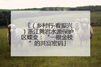 （乡村行·看振兴）浙江黄岩水源保护区蝶变：“一根金枝”的共富密码