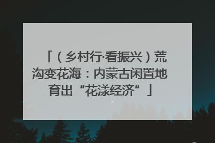（乡村行·看振兴）荒沟变花海：内蒙古闲置地育出“花漾经济”
