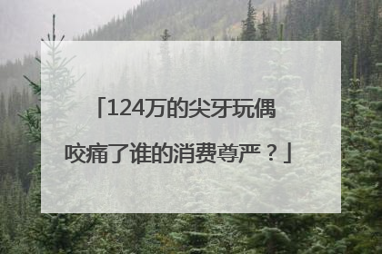 124万的尖牙玩偶 咬痛了谁的消费尊严？