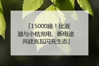 15000座！比亚迪与小桔充电、新电途共建兆瓦闪充生态