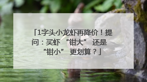 1字头小龙虾再降价！提问：买虾 “钳大” 还是 “钳小” 更划算？