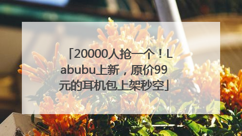 20000人抢一个！Labubu上新，原价99元的耳机包上架秒空