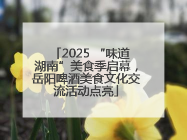 2025 “味道湖南”美食季启幕，岳阳啤酒美食文化交流活动点亮