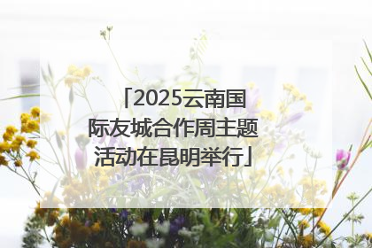 2025云南国际友城合作周主题活动在昆明举行