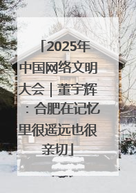 2025年中国网络文明大会｜董宇辉：合肥在记忆里很遥远也很亲切