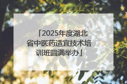 2025年度湖北省中医药适宜技术培训班圆满举办