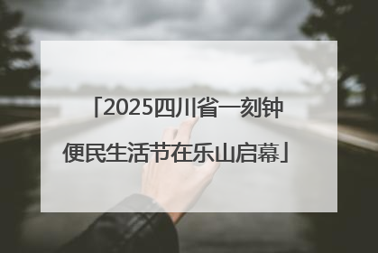 2025四川省一刻钟便民生活节在乐山启幕