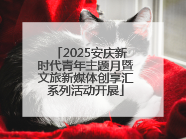 2025安庆新时代青年主题月暨文旅新媒体创享汇系列活动开展