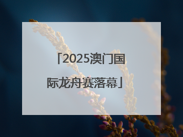 2025澳门国际龙舟赛落幕