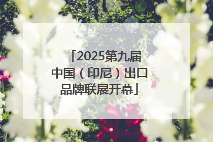 2025第九届中国（印尼）出口品牌联展开幕
