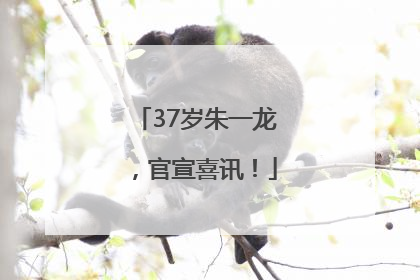 37岁朱一龙，官宣喜讯！