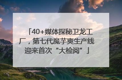 40+媒体探秘卫龙工厂，第七代魔芋爽生产线迎来首次“大检阅”