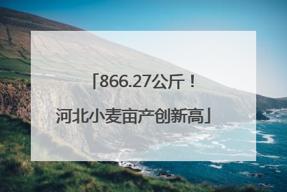 866.27公斤！河北小麦亩产创新高