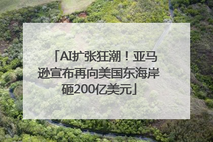 AI扩张狂潮！亚马逊宣布再向美国东海岸砸200亿美元