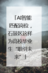 AI智能匹配岗位，石鼓区这样为高校毕业生“职引未来”