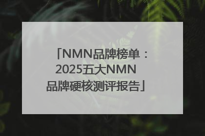 NMN品牌榜单：2025五大NMN品牌硬核测评报告