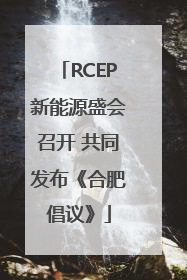 RCEP新能源盛会召开 共同发布《合肥倡议》