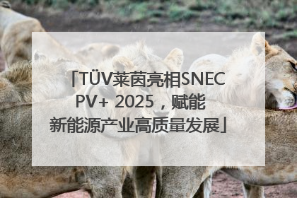 TÜV莱茵亮相SNEC PV+ 2025，赋能新能源产业高质量发展